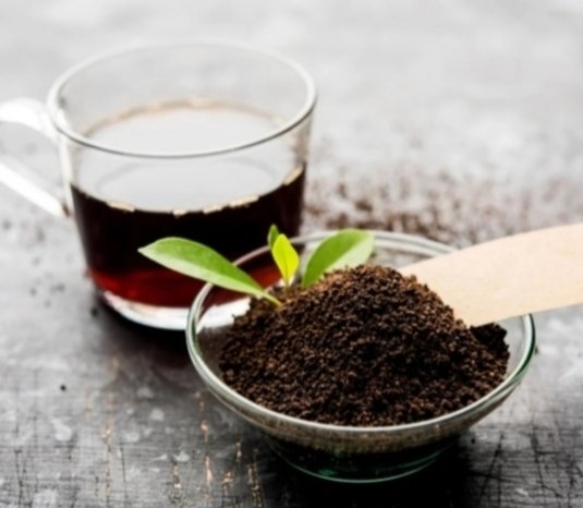 CTC TEA 750 GM PACK in bathinda