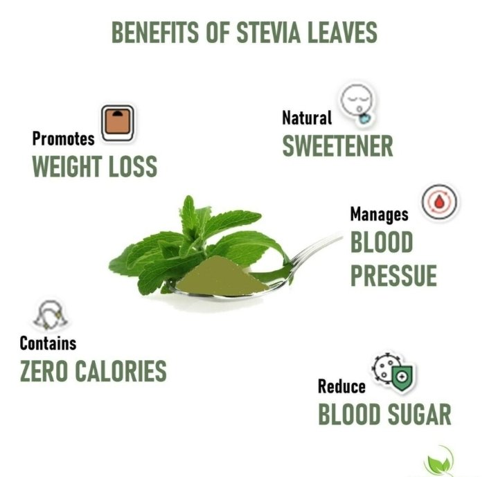 STEVIA POWDER WHITE in bathinda